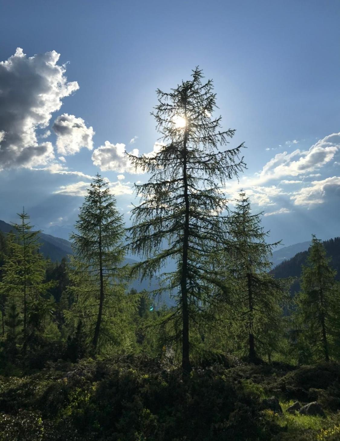 Apart Sonnenheim Каунертал Екстериор снимка